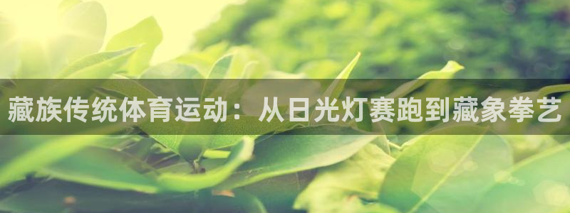 藏族传统体育运动：从日光灯赛跑到藏象拳艺