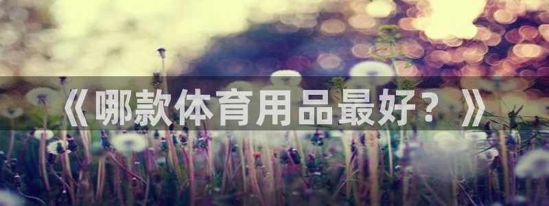 《哪款体育用品最好？》