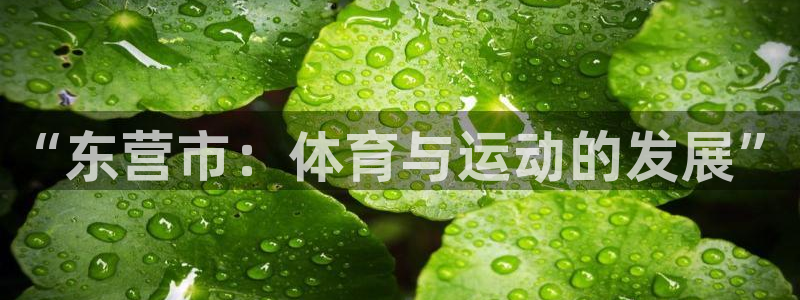 “东营市：体育与运动的发展”