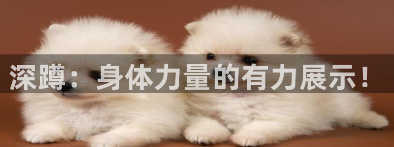 深蹲：身体力量的有力展示！