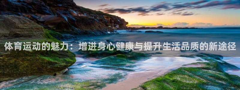 体育运动的魅力：增进身心健康与提升生活品质的新途径