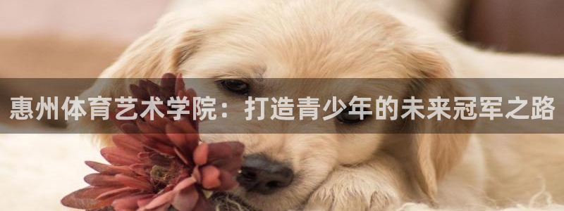 惠州体育艺术学院：打造青少年的未来冠军之路