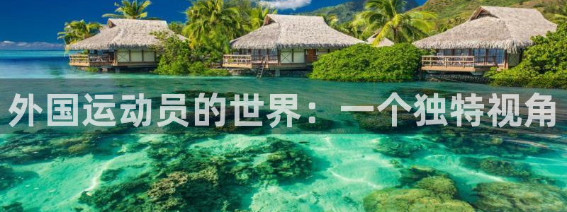 外国运动员的世界：一个独特视角