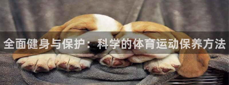 全面健身与保护：科学的体育运动保养方法