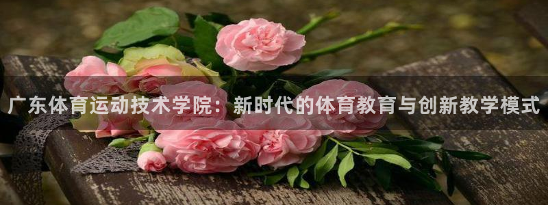 广东体育运动技术学院：新时代的体育教育与创新教学模式
