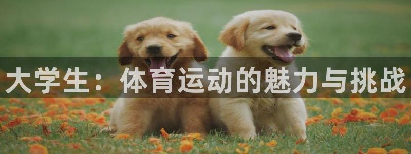 大学生：体育运动的魅力与挑战